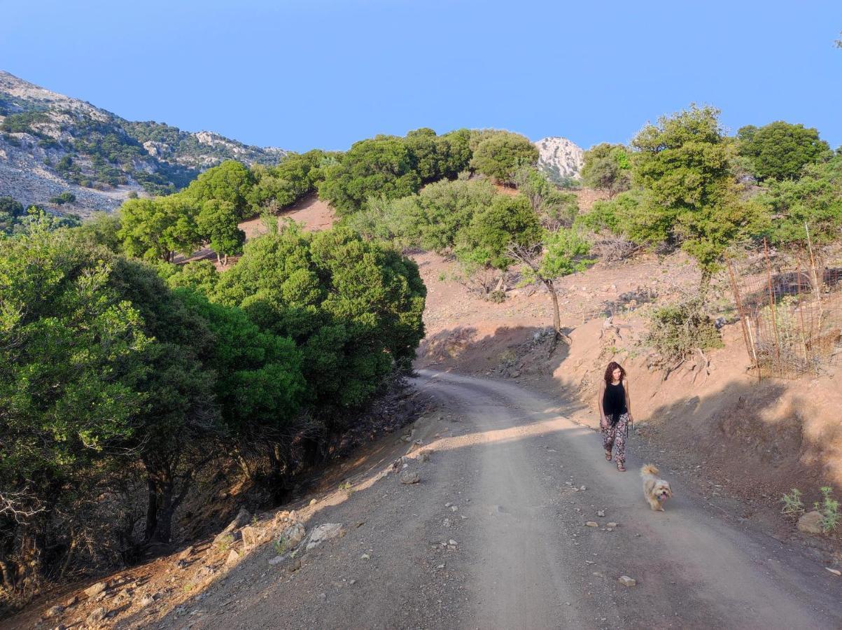 Kato SimiKato Symi House别墅 外观 照片