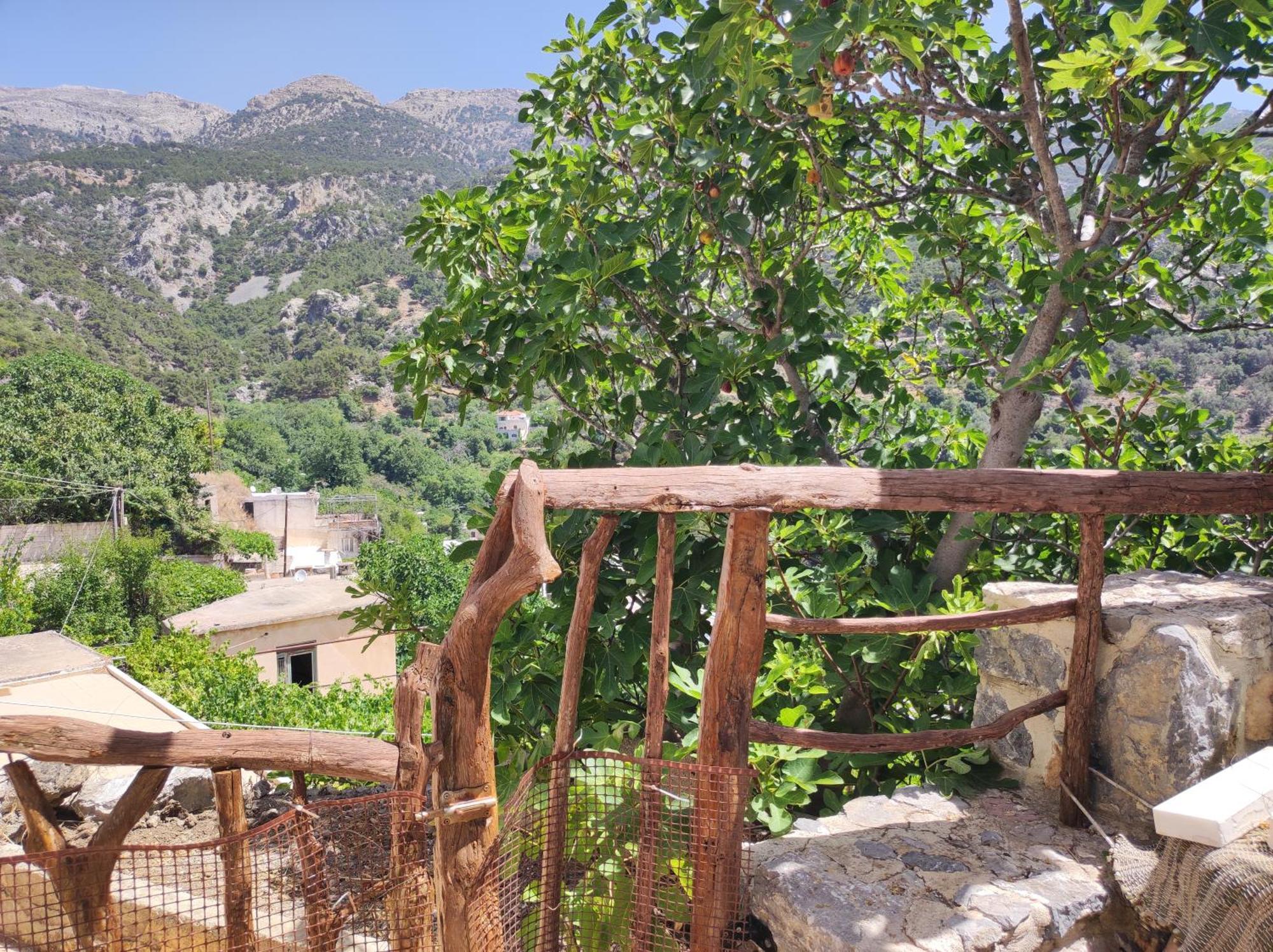 Kato SimiKato Symi House别墅 外观 照片